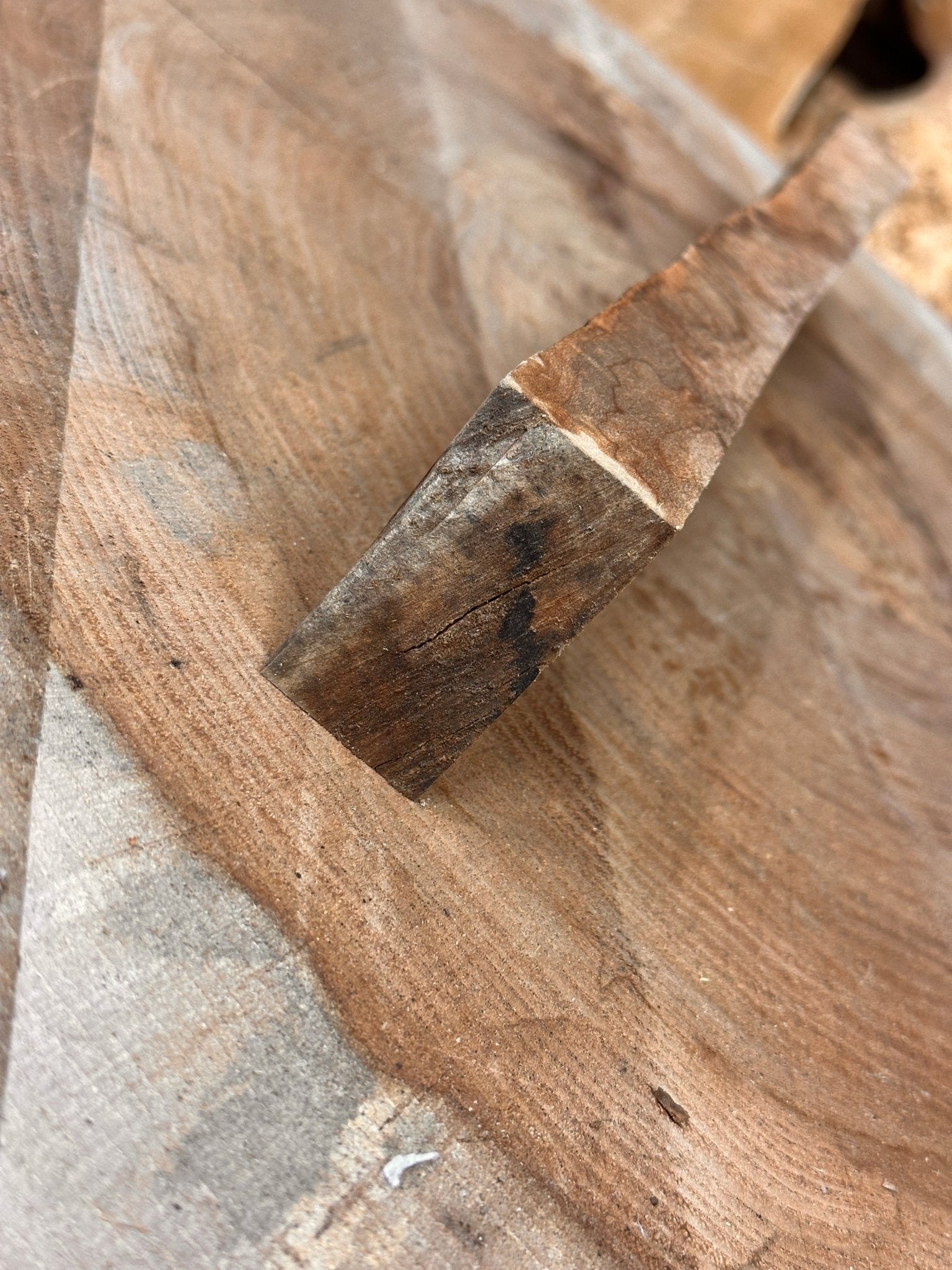 Silver Maple Blank | Silver Maple | Hamilton Lee Supply