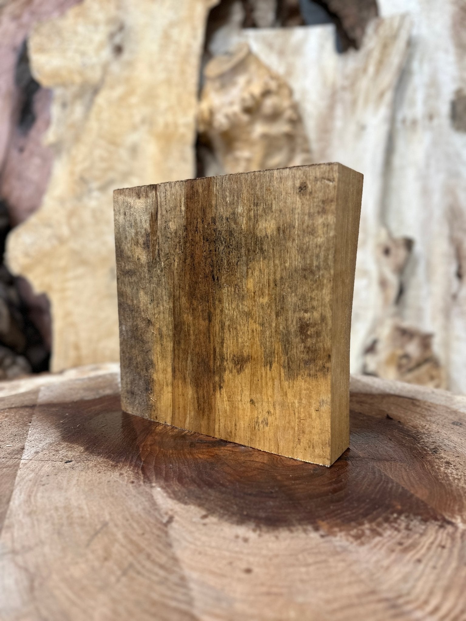 Silver Maple Blank | Silver Maple | Hamilton Lee Supply