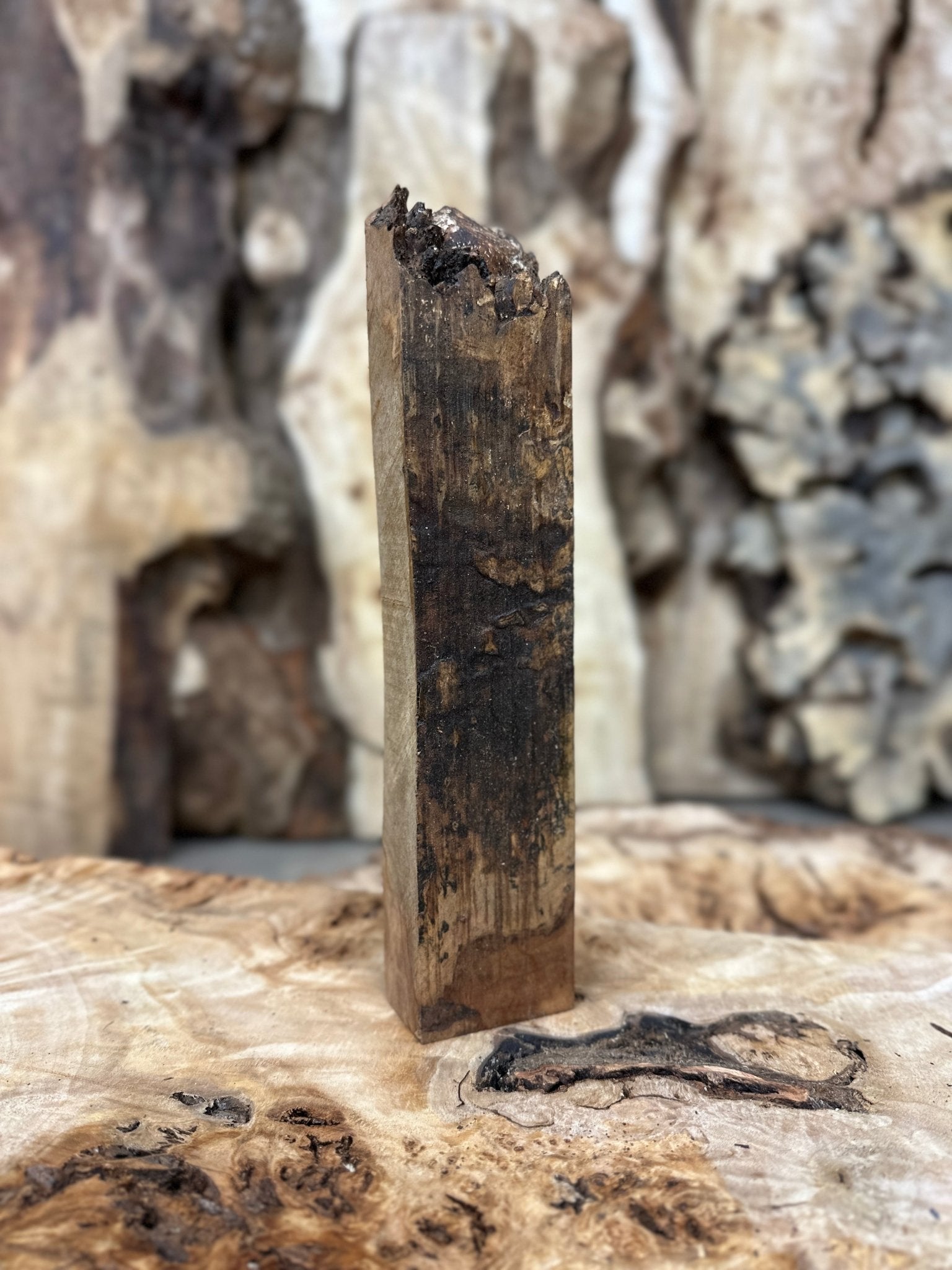 Silver Maple Blank | Silver Maple | Hamilton Lee Supply