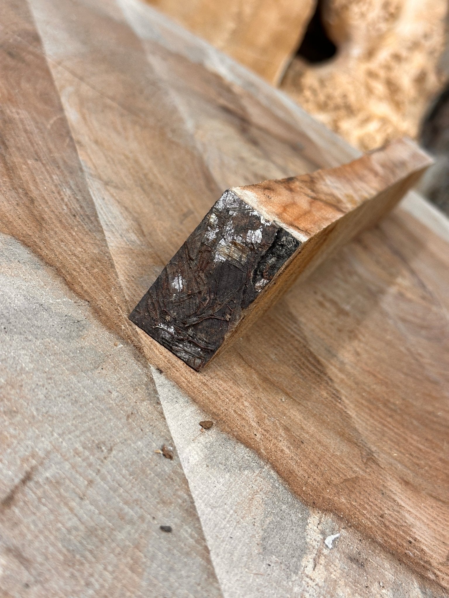 Silver Maple Blank | Silver Maple | Hamilton Lee Supply