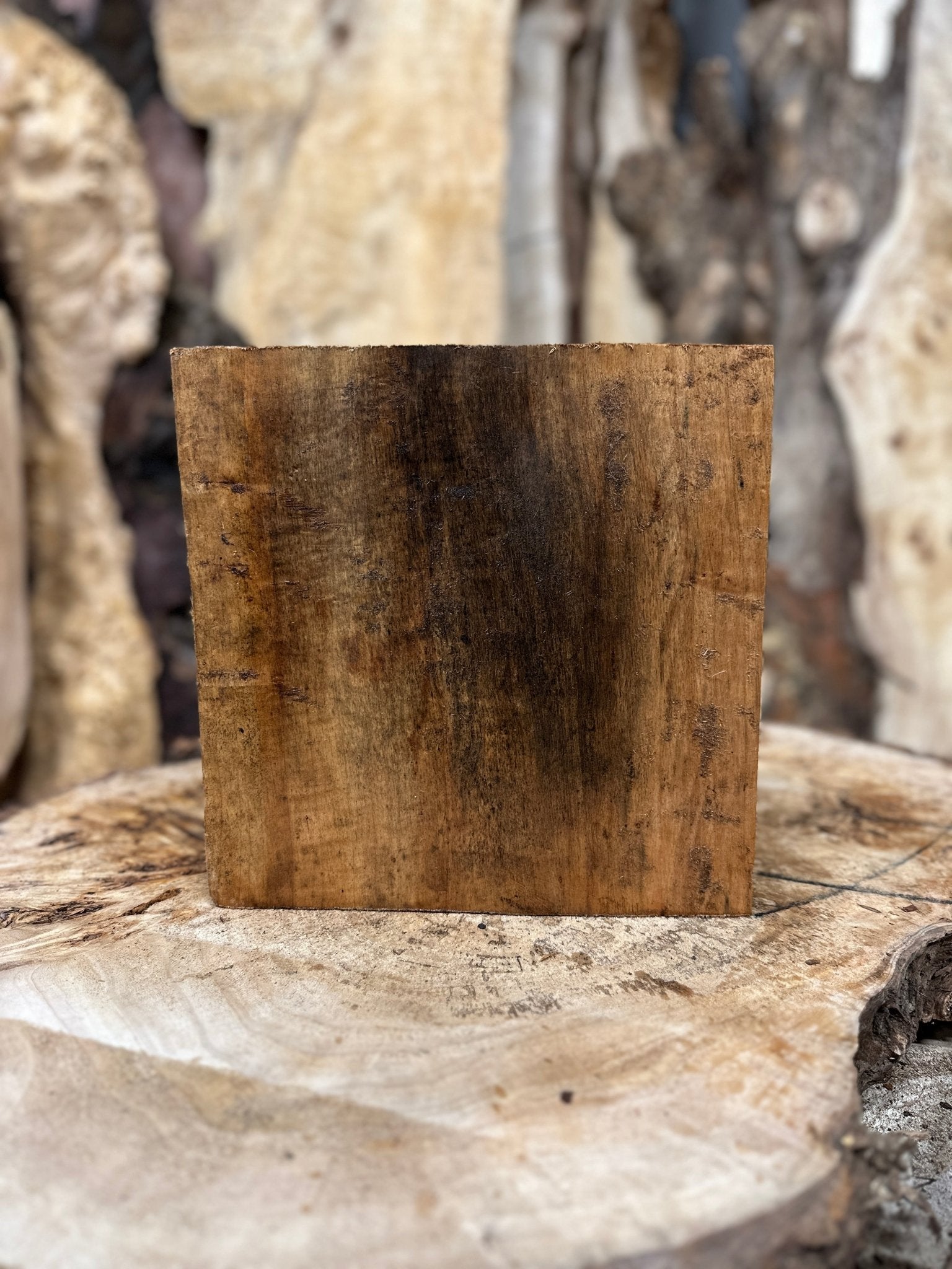 Willow Blank | Willow | Hamilton Lee Supply