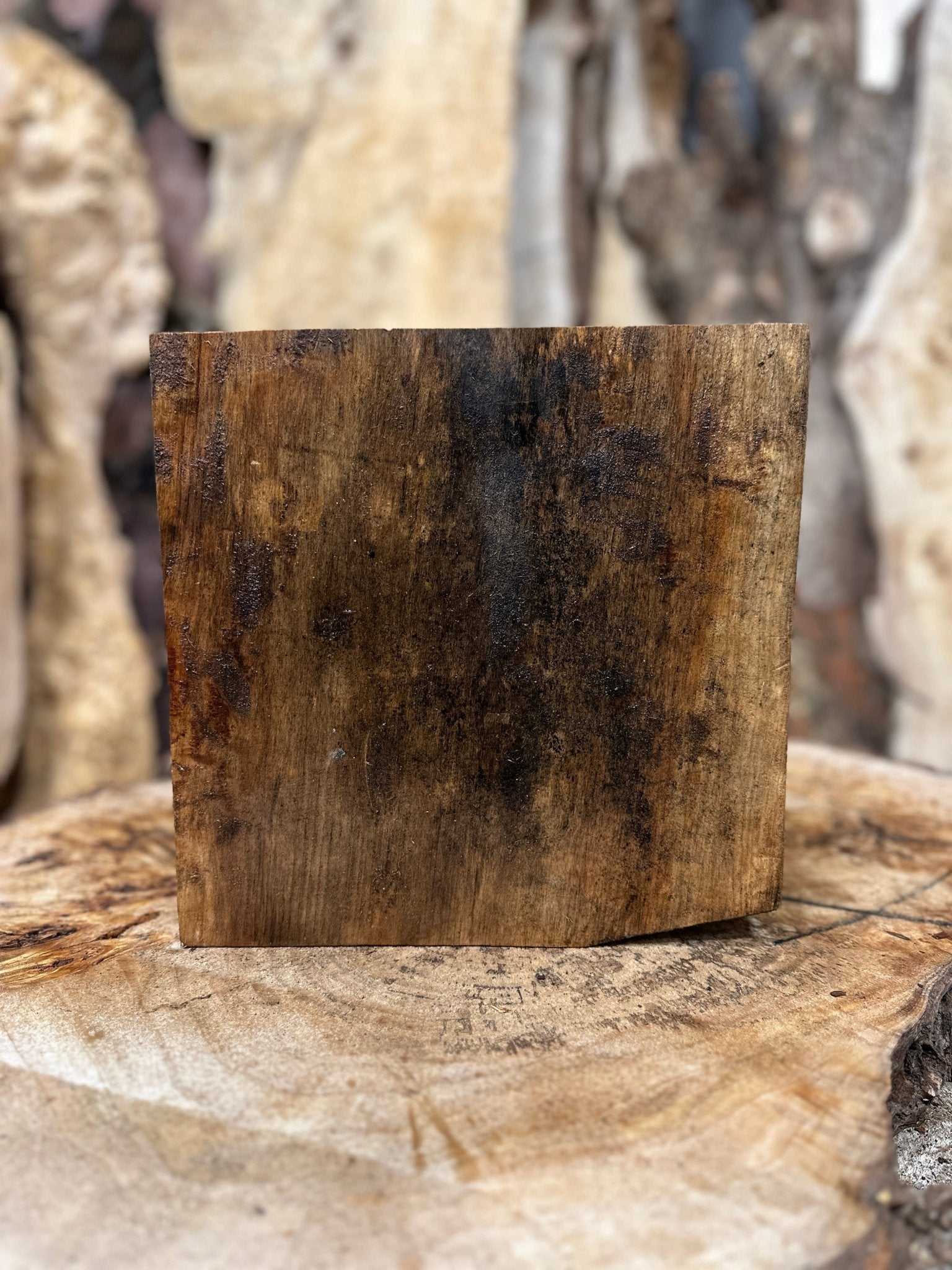 Willow Blank | Willow | Hamilton Lee Supply