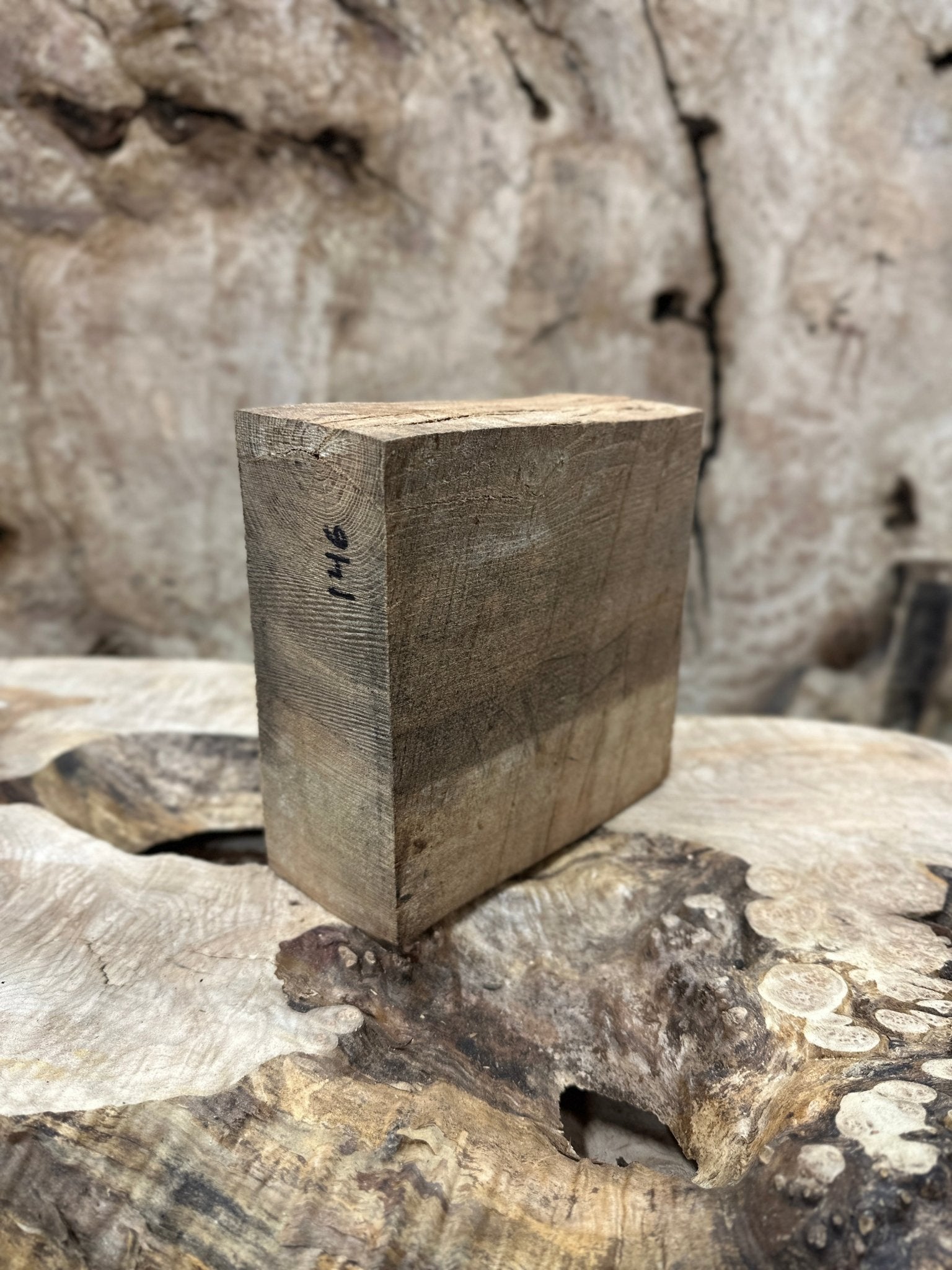 Elm Blank | Elm | Hamilton Lee Supply