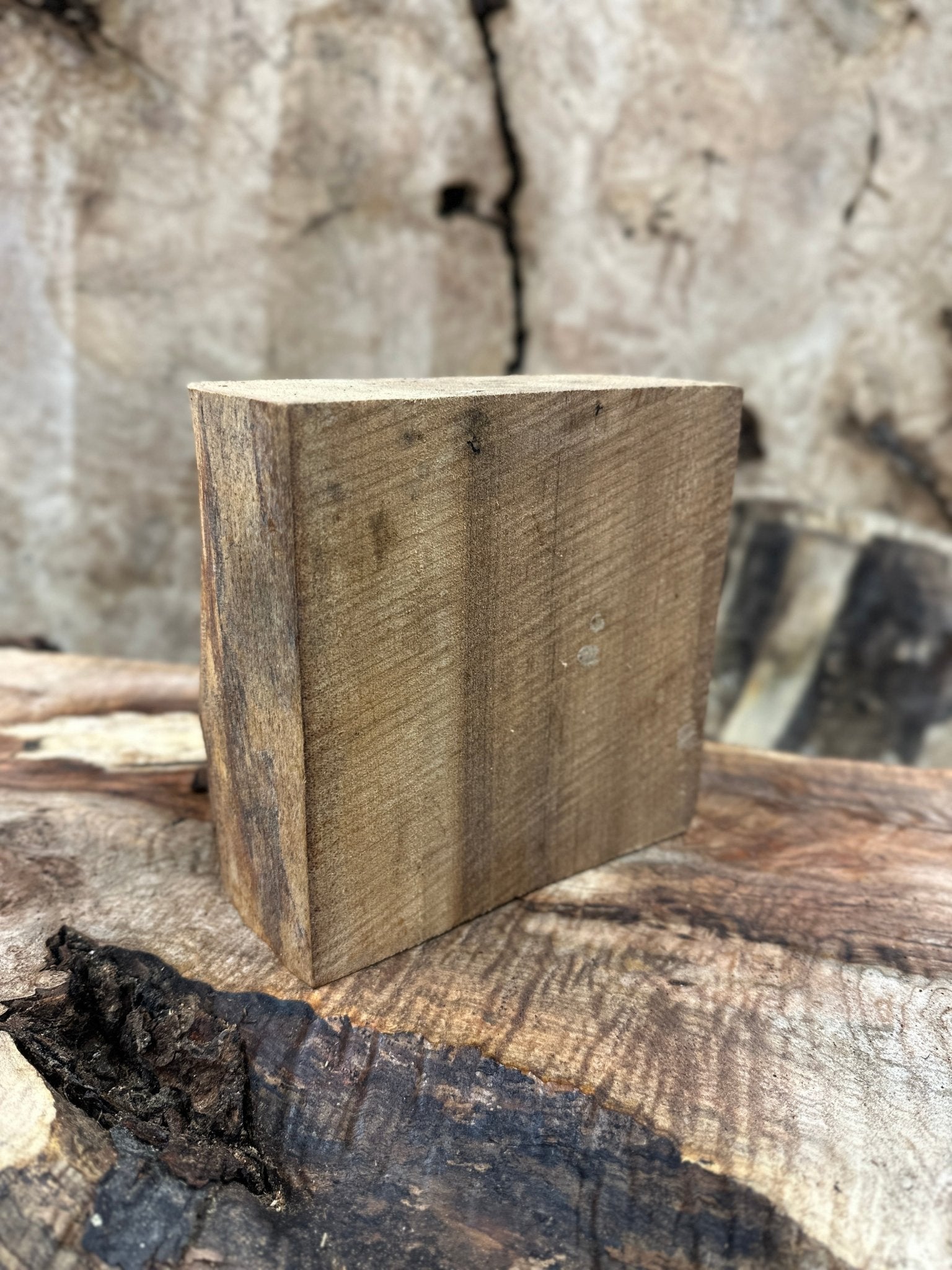 Elm Blank | Elm | Hamilton Lee Supply