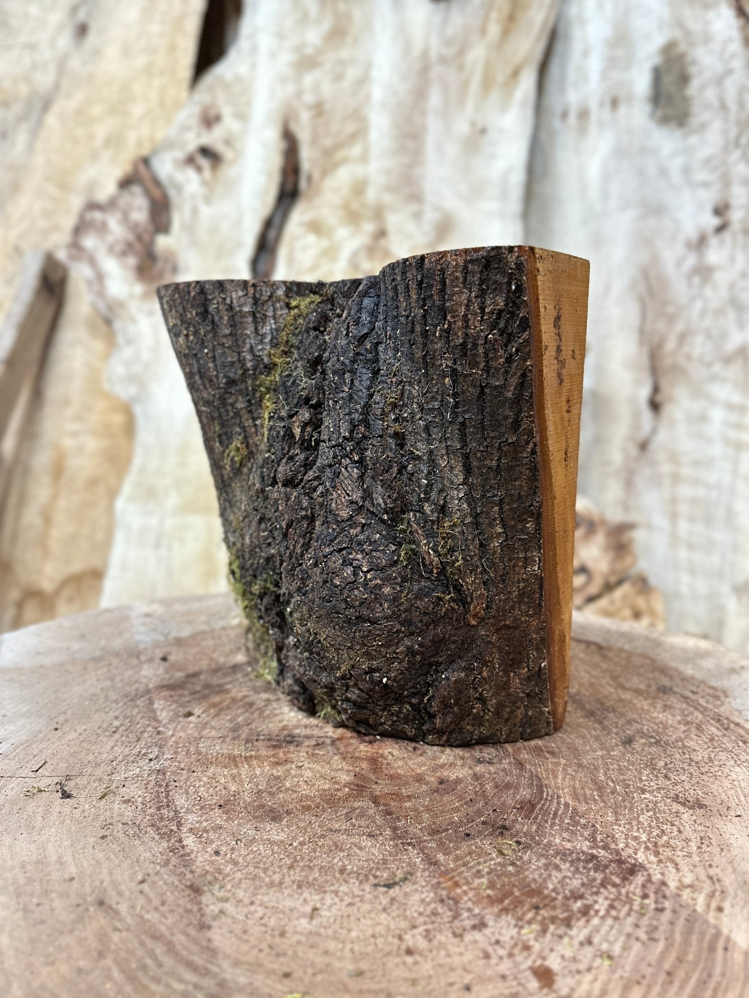 Elm Blank | Elm | Hamilton Lee Supply