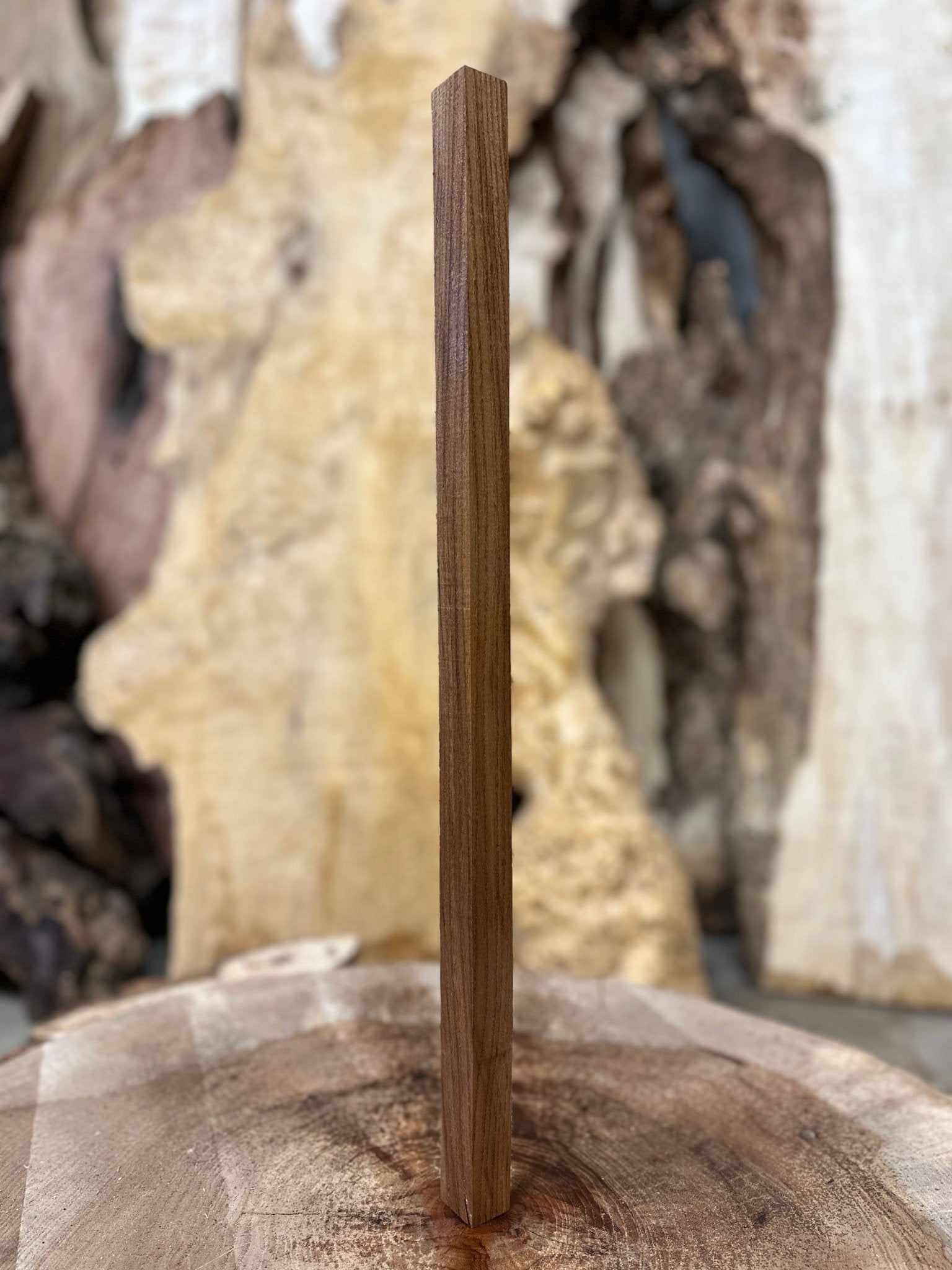 Elm Blank | Elm | Hamilton Lee Supply