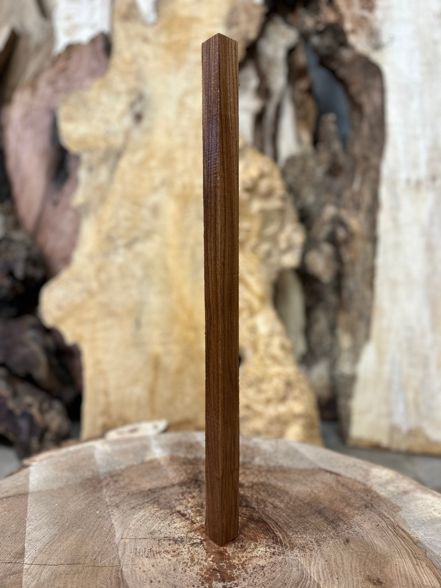 Elm Blank | Elm | Hamilton Lee Supply