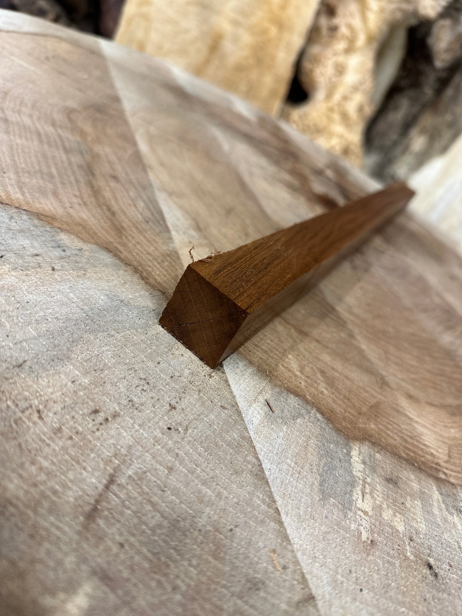 Elm Blank | Elm | Hamilton Lee Supply