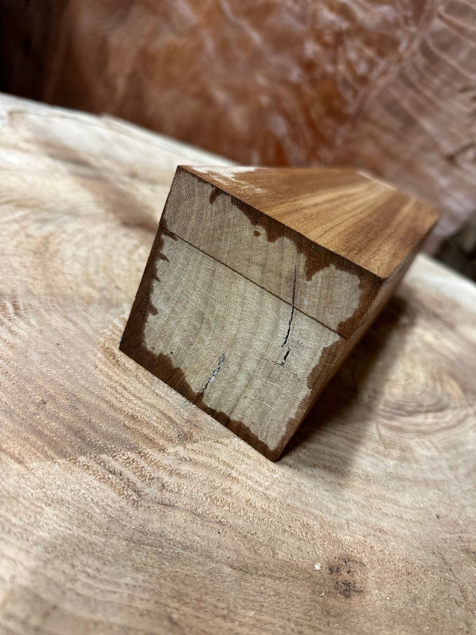 Elm Blank | Elm | Hamilton Lee Supply