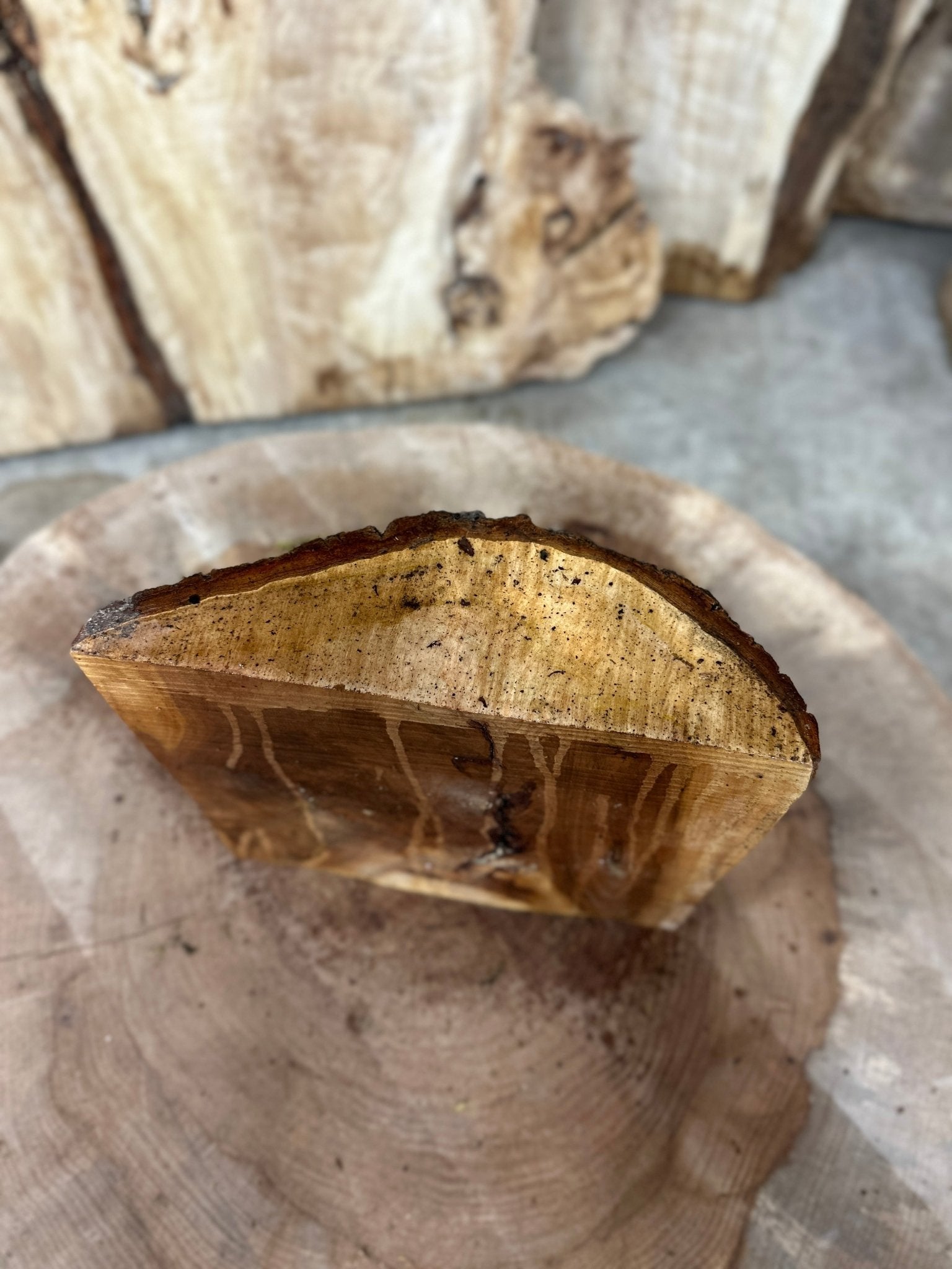 Elm Blank | Elm | Hamilton Lee Supply