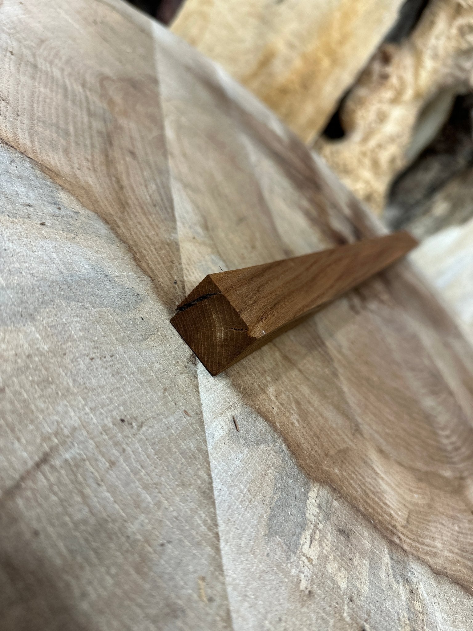 Elm Blank | Elm | Hamilton Lee Supply