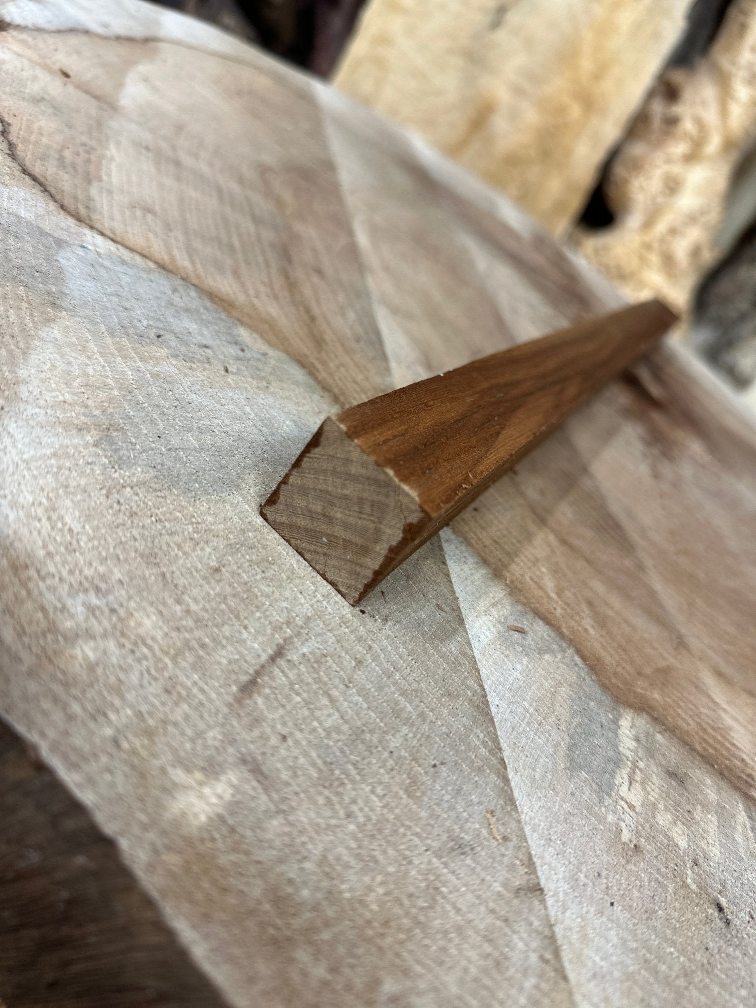 Elm Blank | Elm | Hamilton Lee Supply