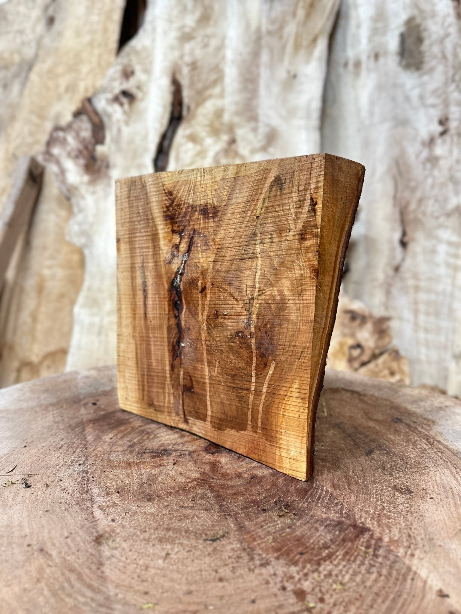 Elm Blank | Elm | Hamilton Lee Supply