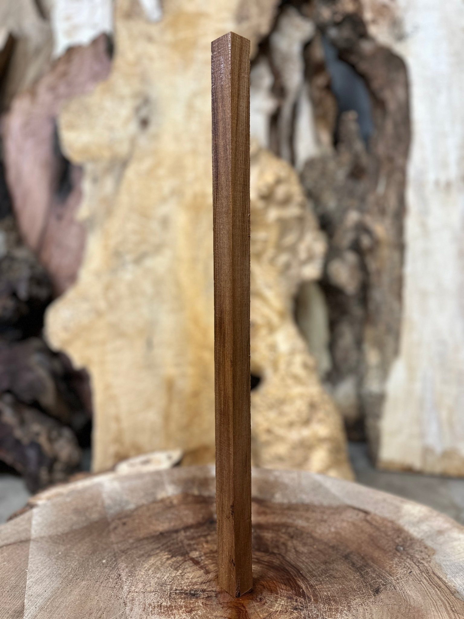 Elm Blank | Elm | Hamilton Lee Supply