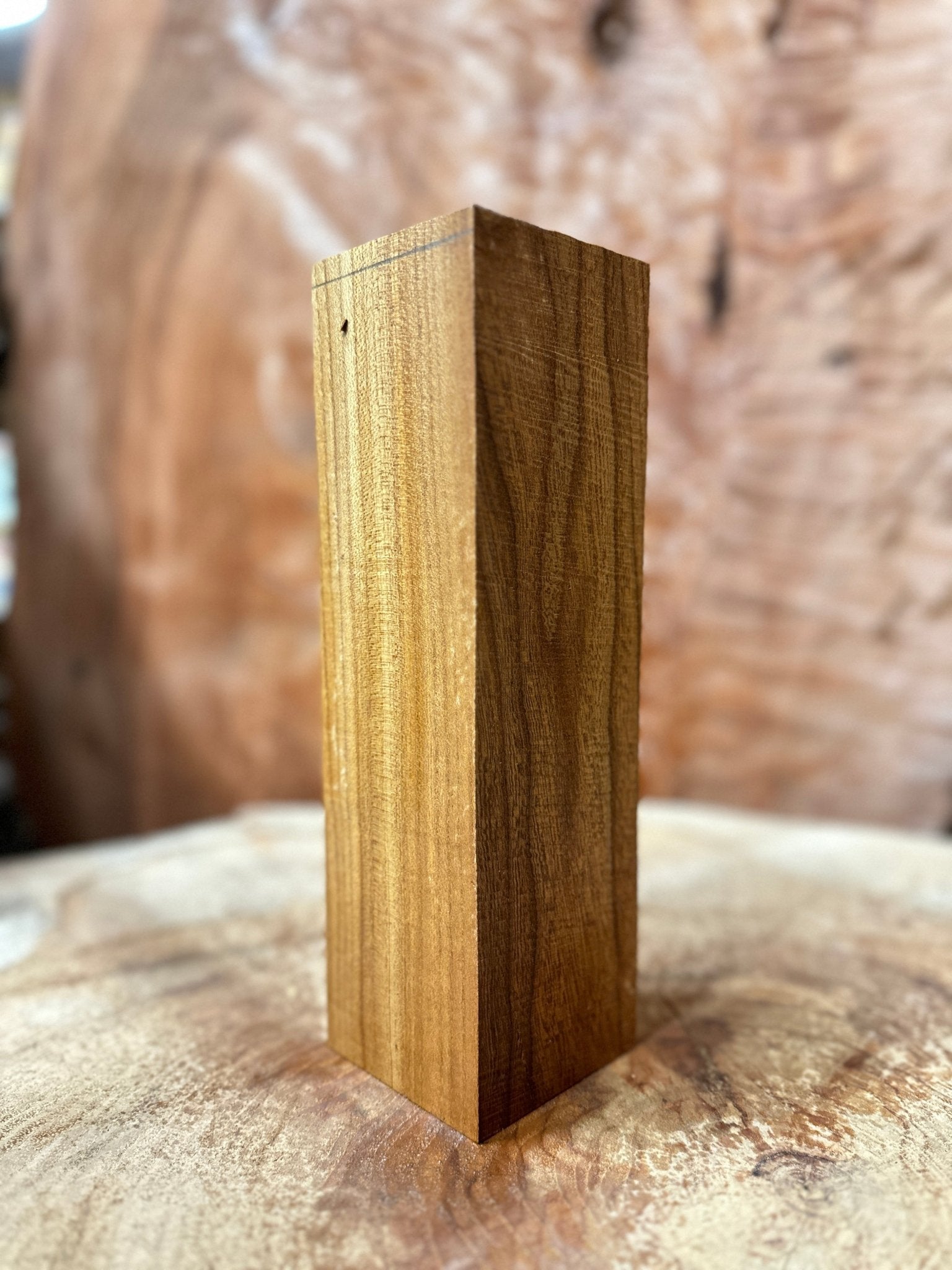 Elm Blank | Elm | Hamilton Lee Supply