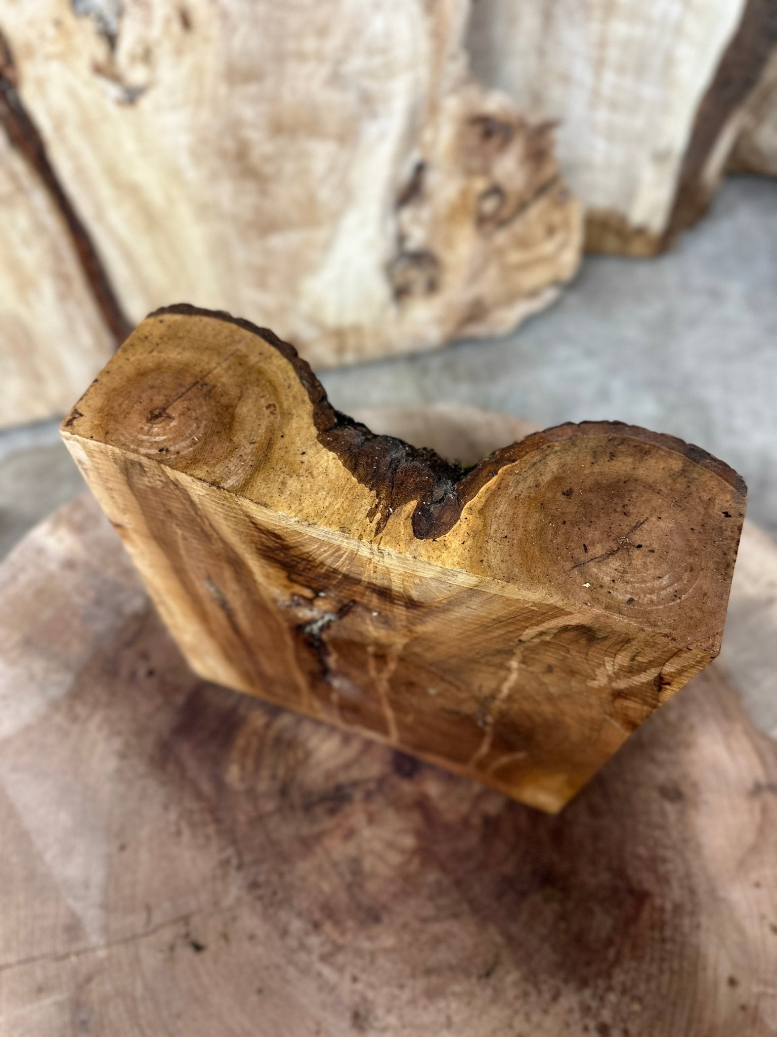 Elm Blank | Elm | Hamilton Lee Supply