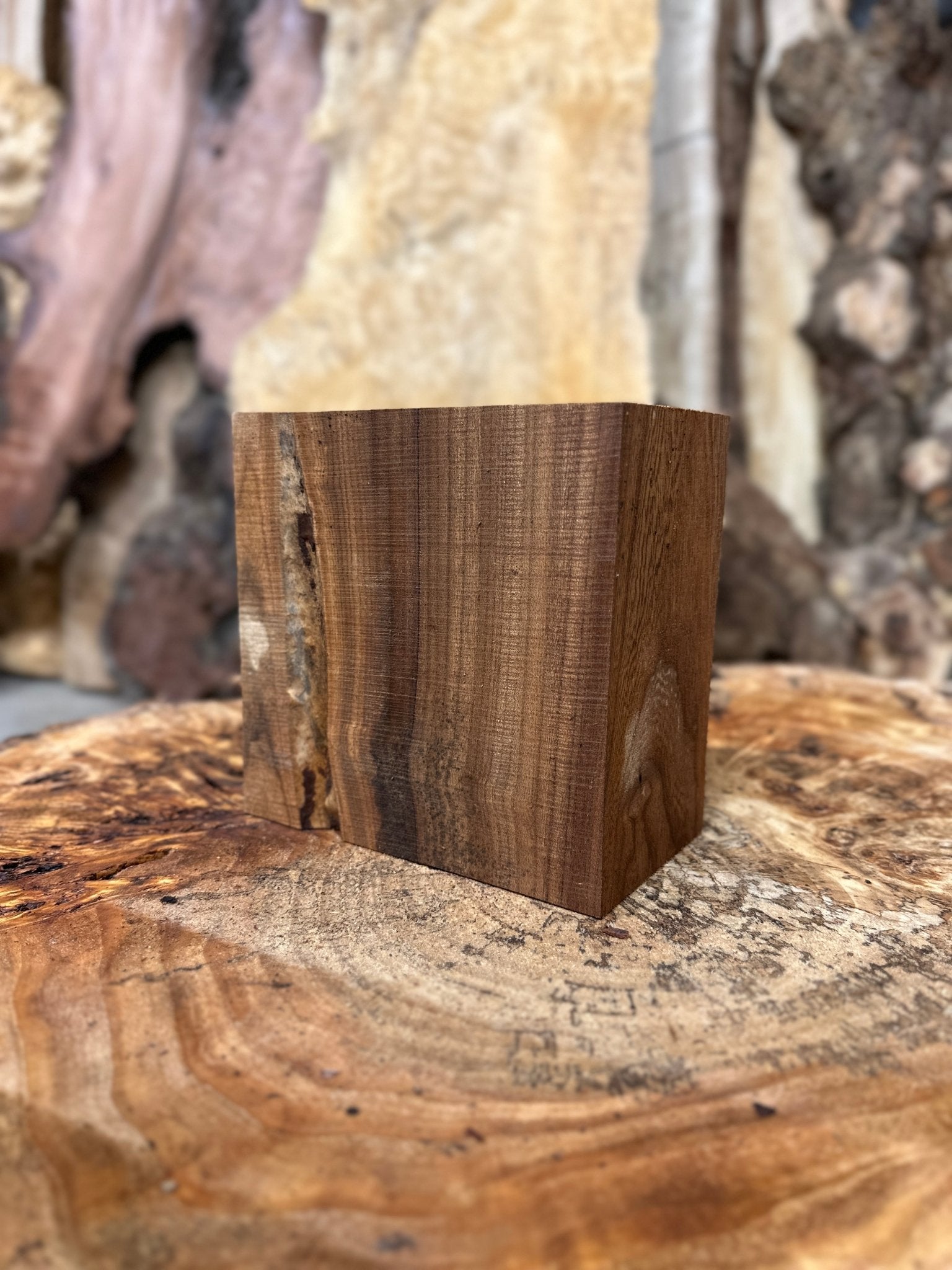 American Elm Bowl Blank | American Elm | Hamilton Lee Supply
