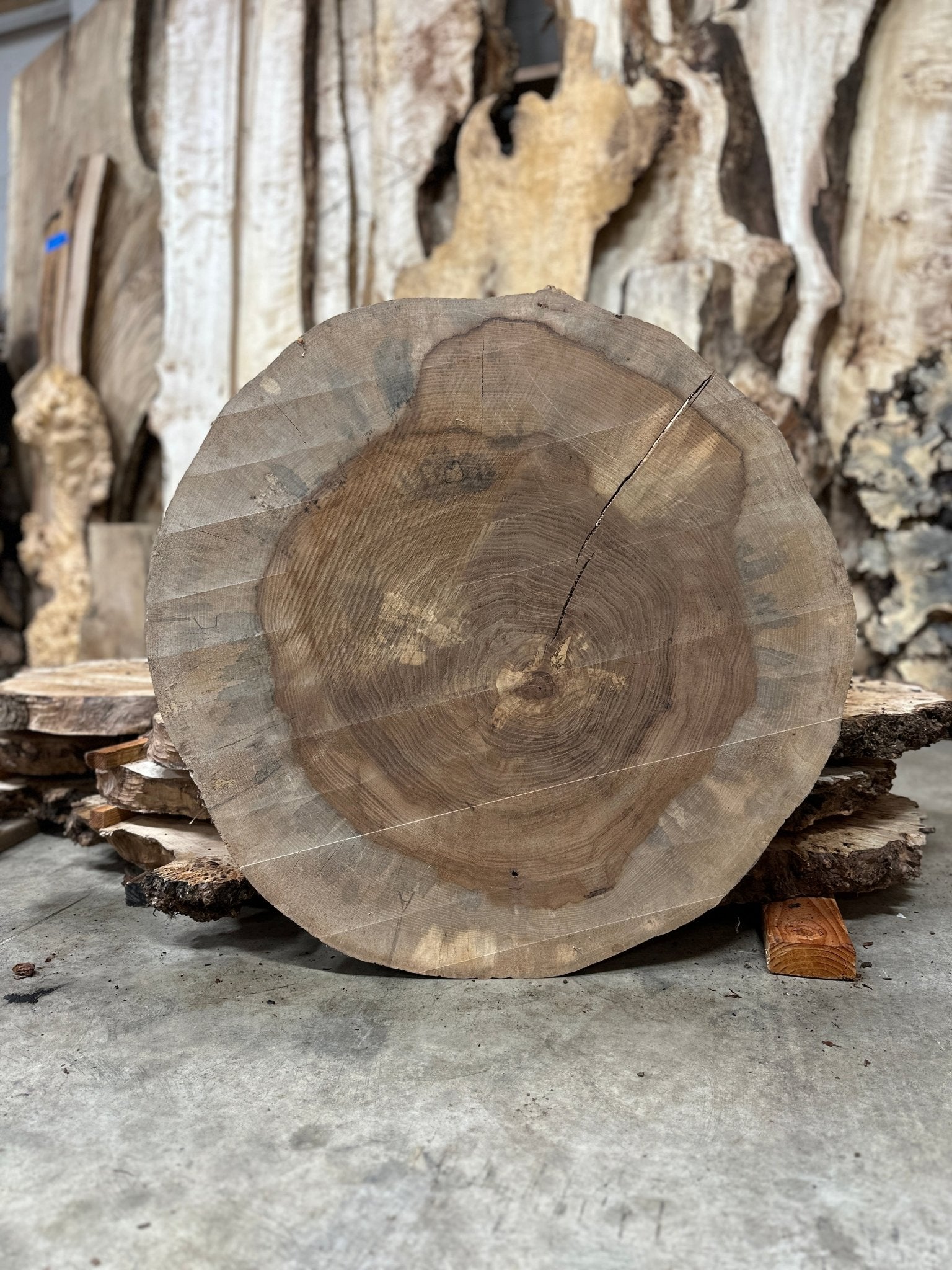LiveEdge Pecan Cookie | Pecan | Hamilton Lee Supply