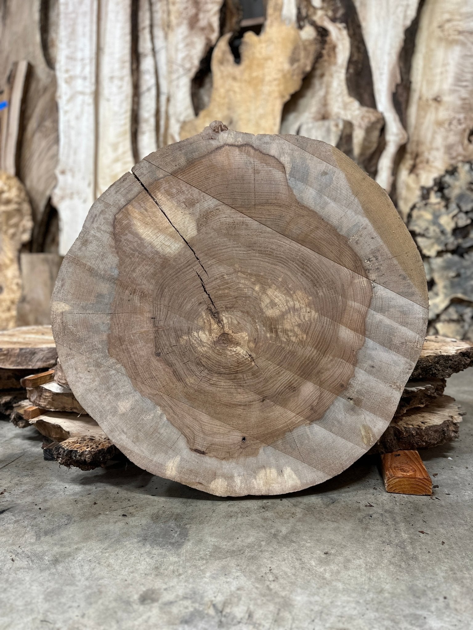 LiveEdge Pecan Cookie | Pecan | Hamilton Lee Supply