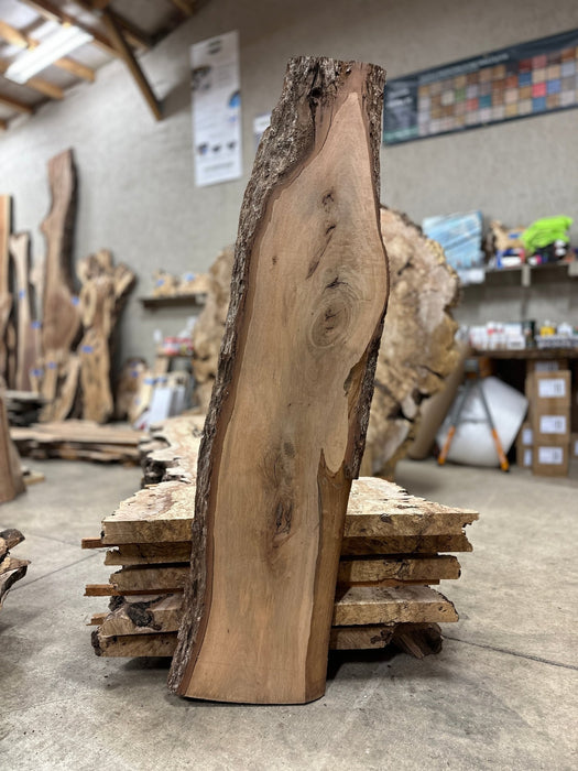 Hamilton Lee Supply | LiveEdge Texas Pecan | Pecan | Hamilton Lee Supply