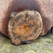 Double Diamond | LiveEdge Silver Maple | | Hamilton Lee Supply