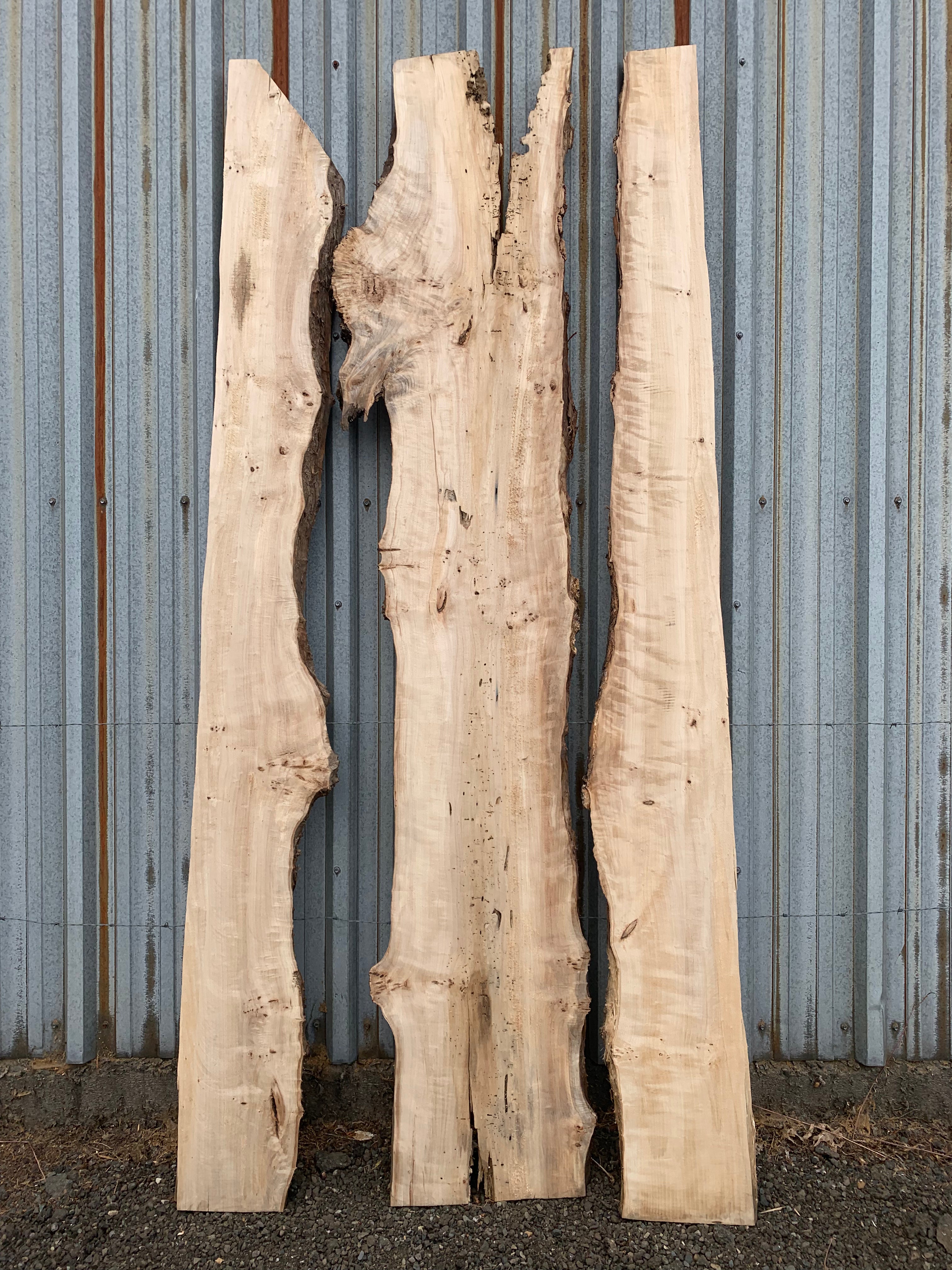 LiveEdge Mappa Burl | Mappa Burl | Hamilton Lee Supply