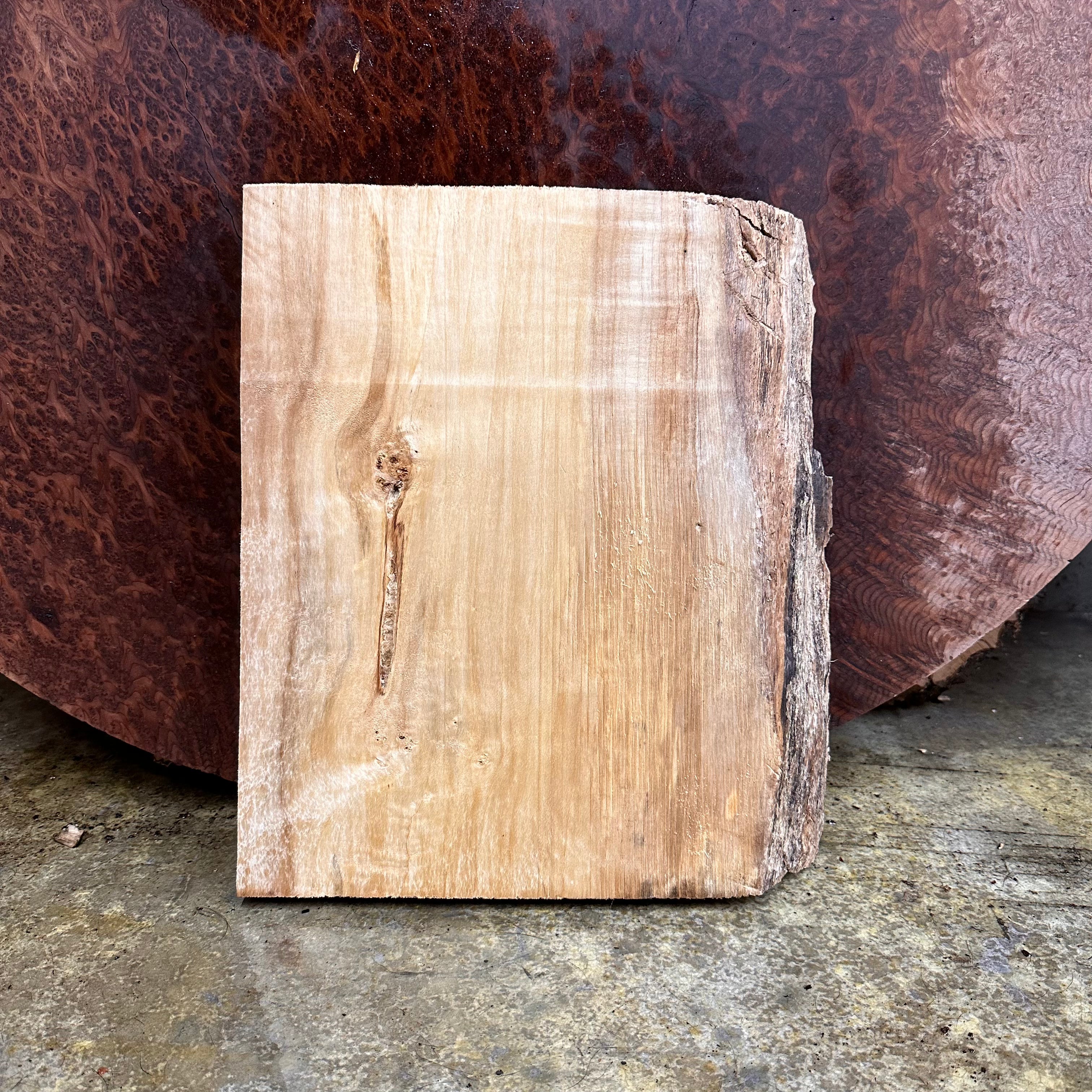 LiveEdge Mappa Burl | | Hamilton Lee Supply