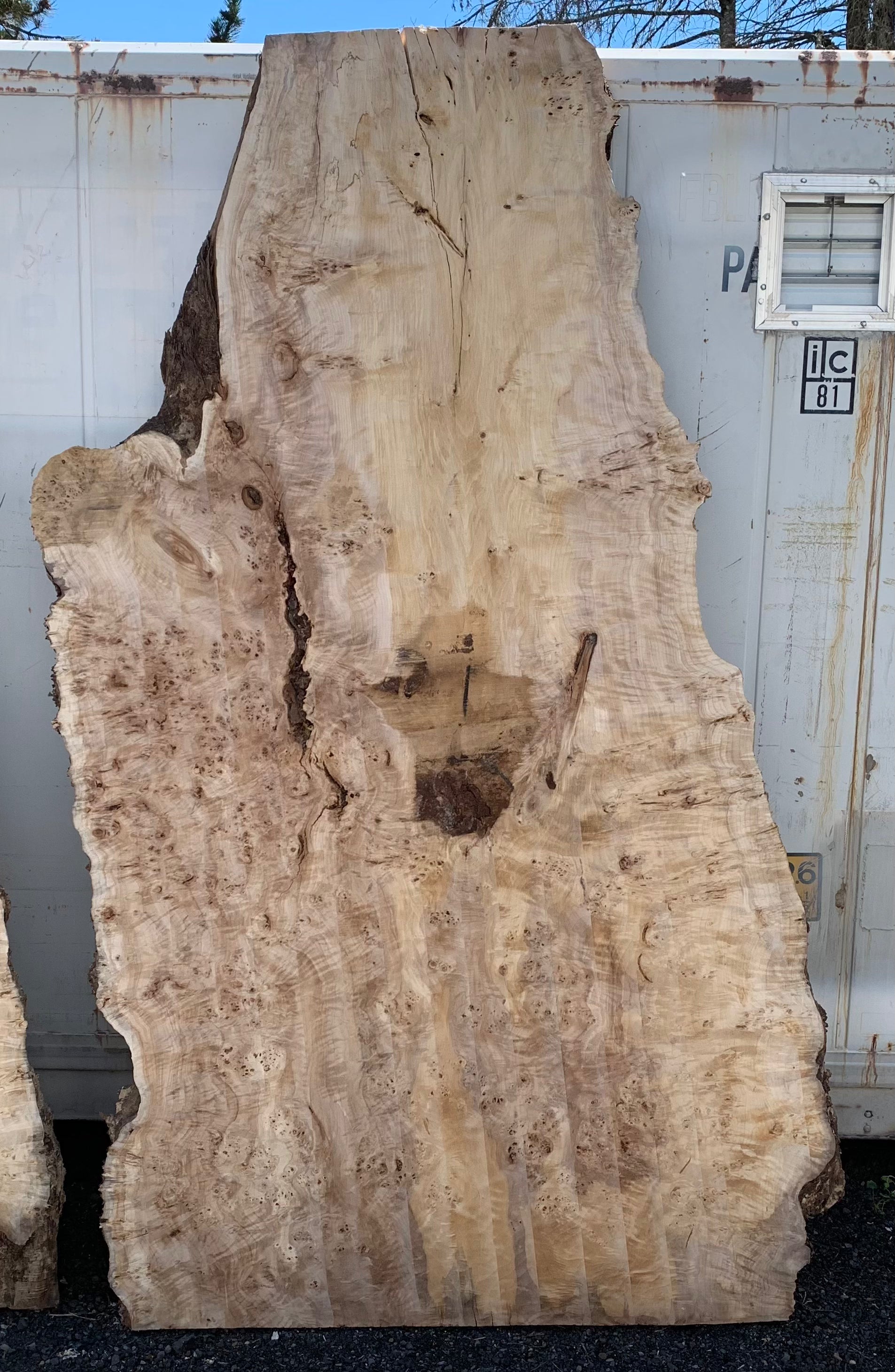 LiveEdge Mappa Burl | Mappa Burl | Hamilton Lee Supply