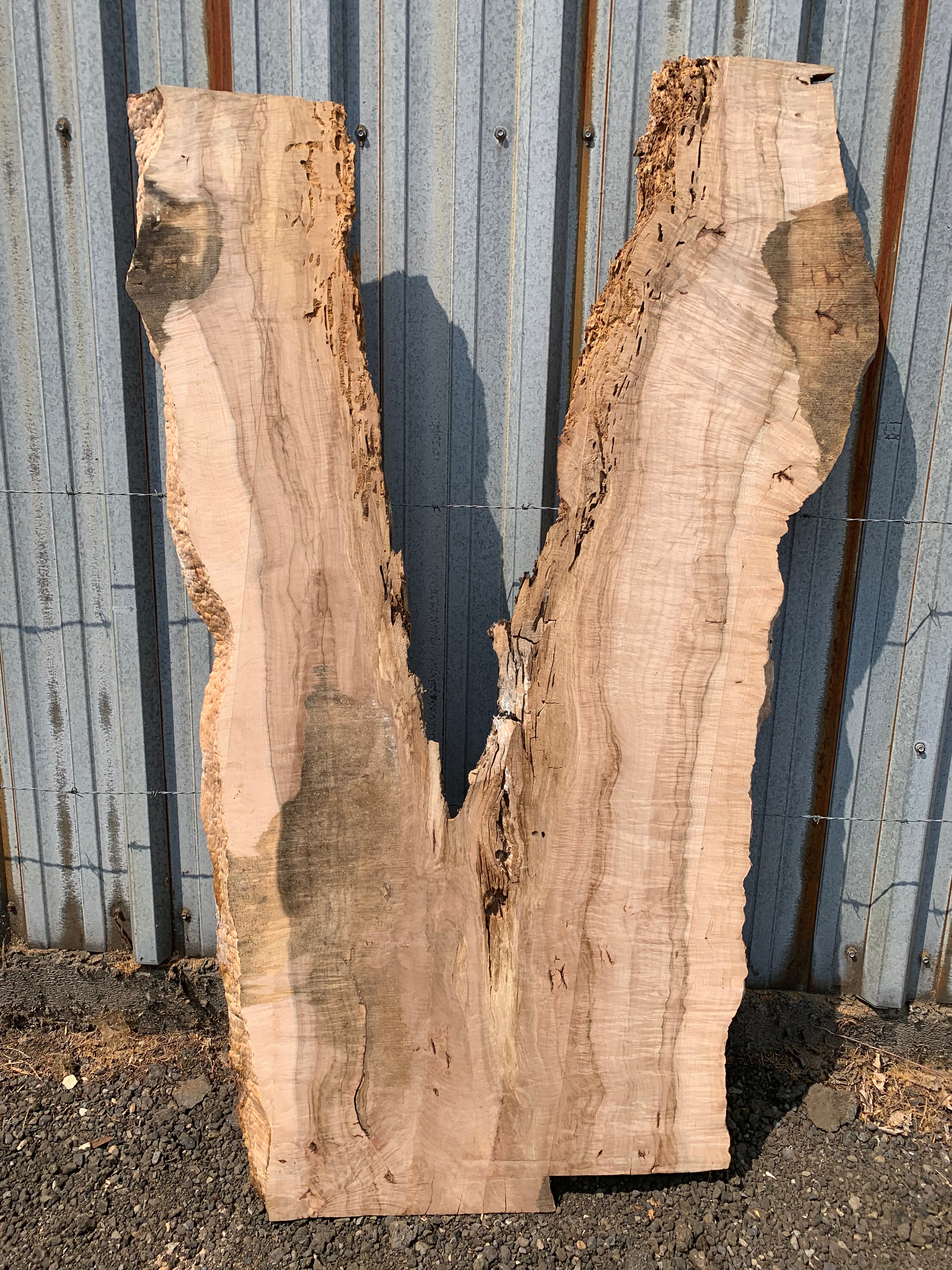 LiveEdge Norway Maple | Norway Maple | Hamilton Lee Supply