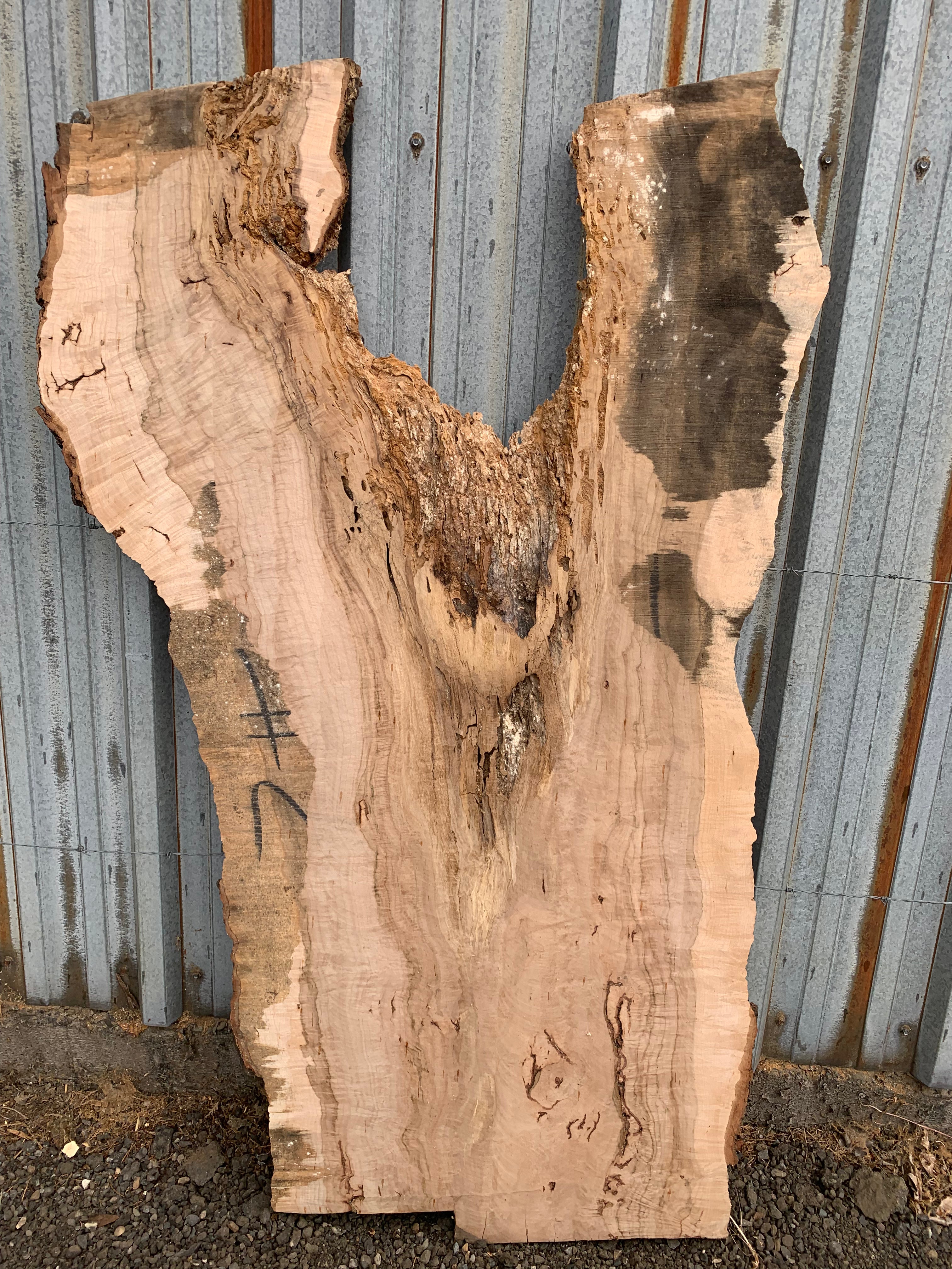 LiveEdge Norway Maple | Norway Maple | Hamilton Lee Supply