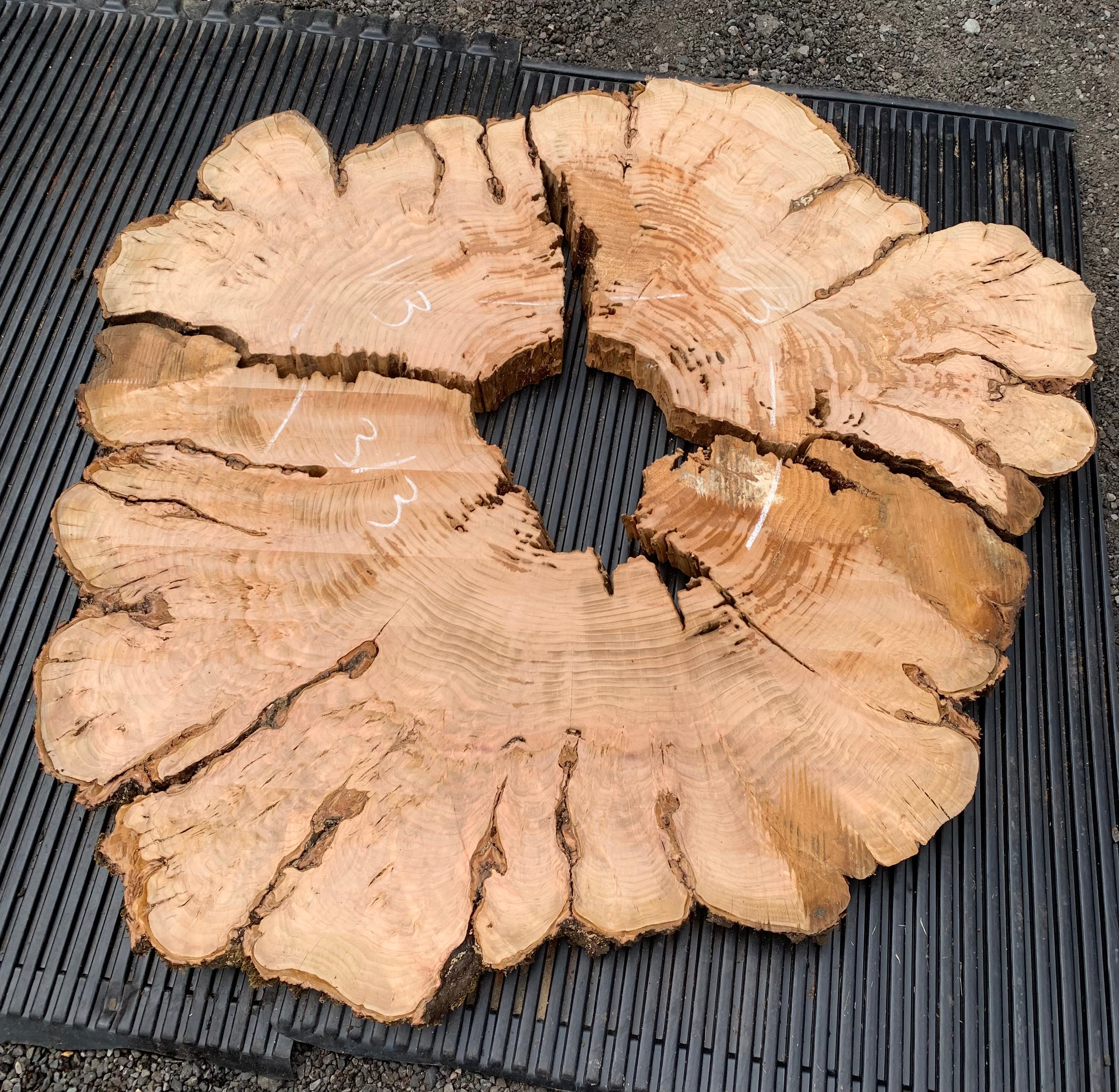 LiveEdge Cherry Cookie | Craft Wood & Shapes | Hamilton Lee Supply