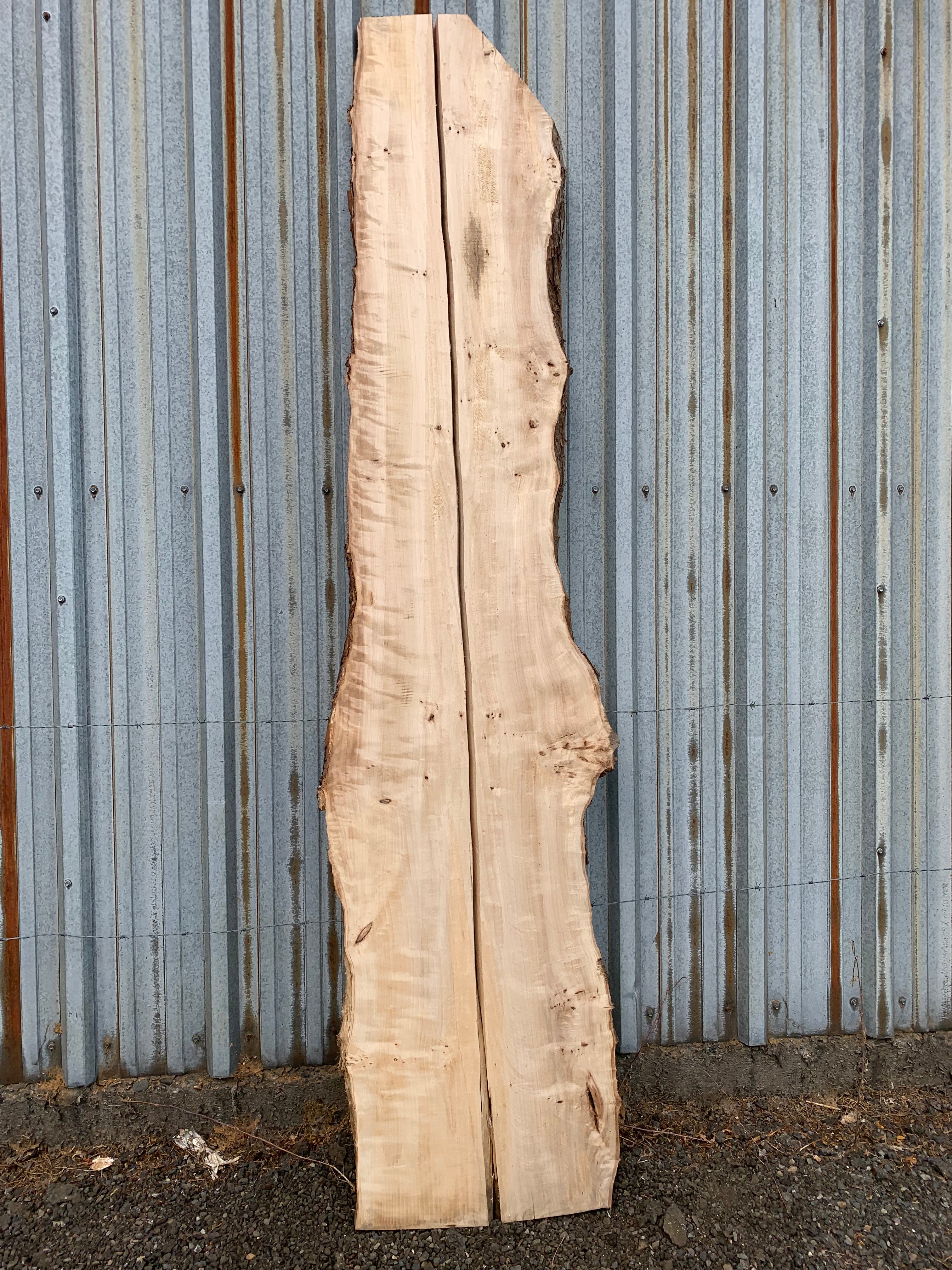 LiveEdge Mappa Burl | Mappa Burl | Hamilton Lee Supply