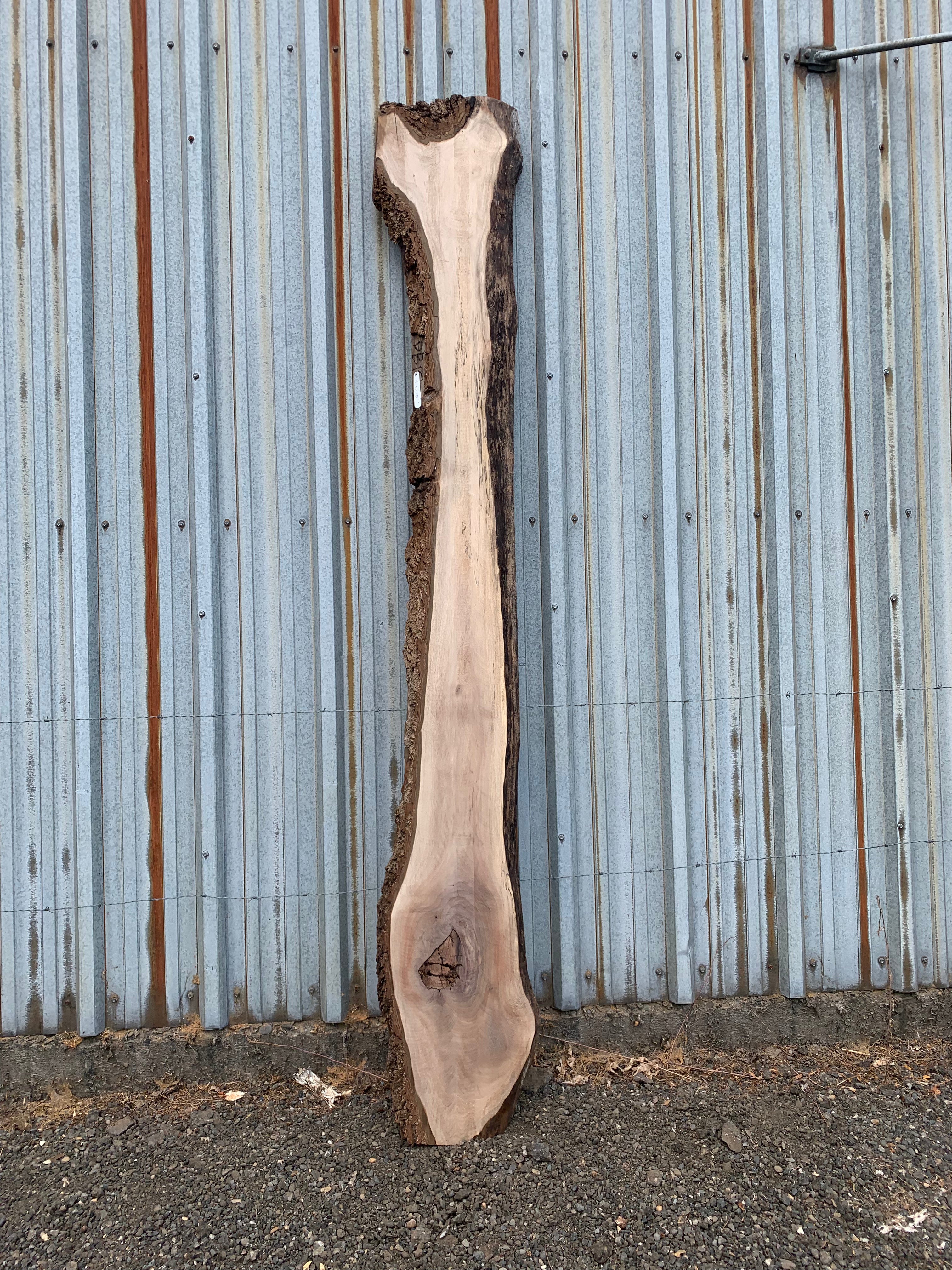 LiveEdge Black Walnut | Black Walnut | Hamilton Lee Supply