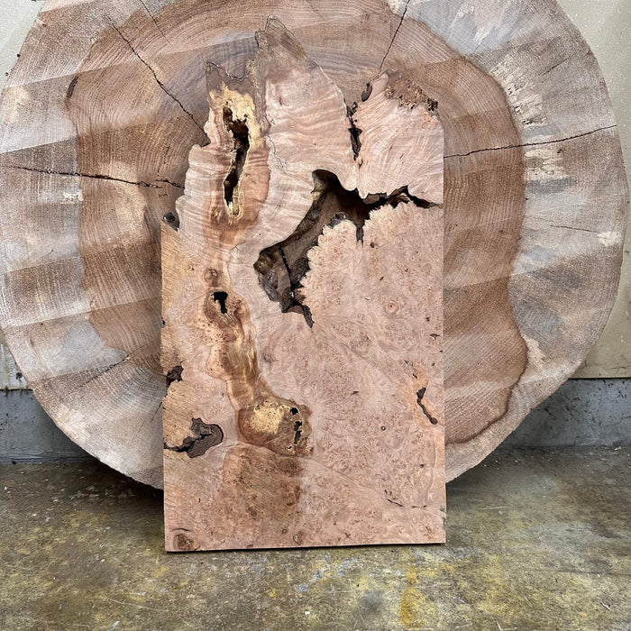Double Diamond | LiveEdge Big Leaf Maple | Big Leaf Maple | Hamilton Lee Supply