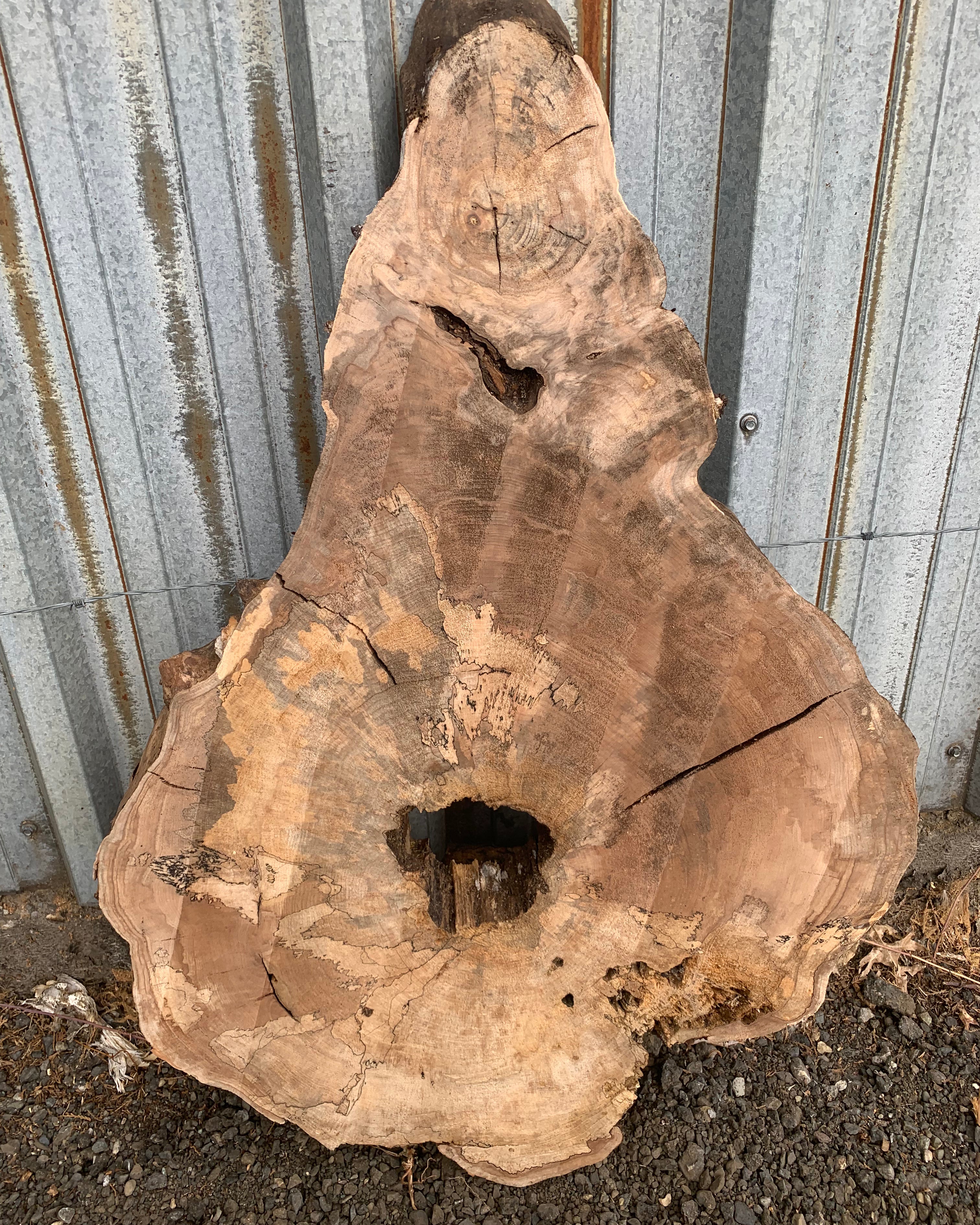 LiveEdge Big Leaf Maple Slab | Craft Wood & Shapes | Hamilton Lee Supply