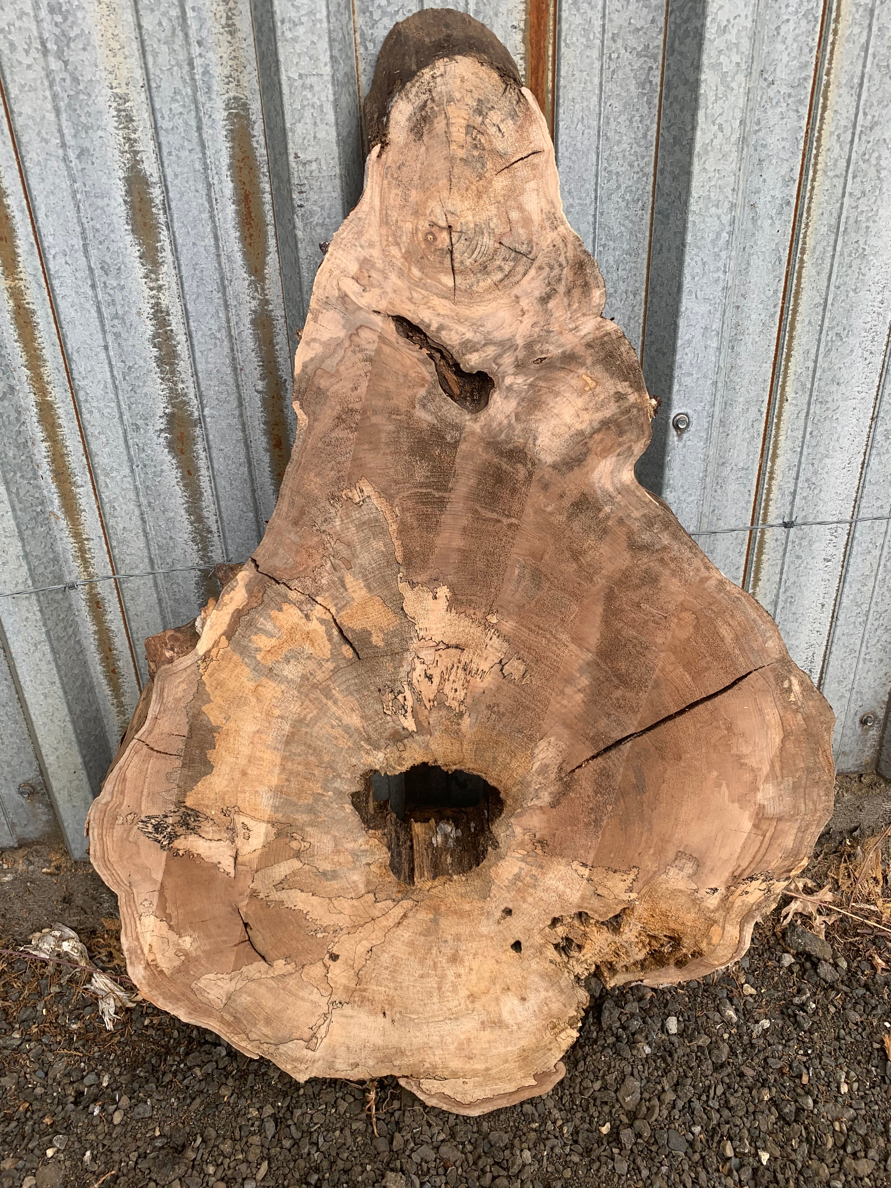 LiveEdge Big Leaf Maple Slab | Craft Wood & Shapes | Hamilton Lee Supply