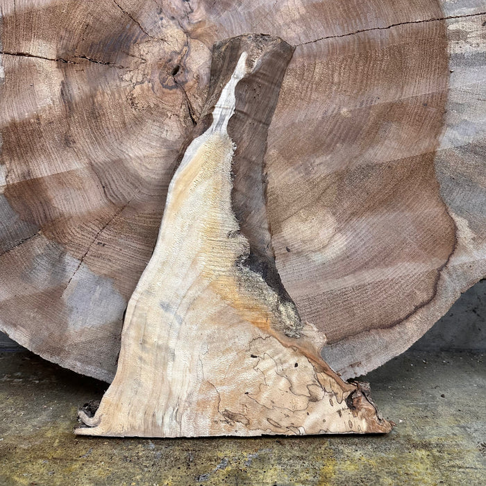 Double Diamond | LiveEdge Big Leaf Maple | Big Leaf Maple | Hamilton Lee Supply