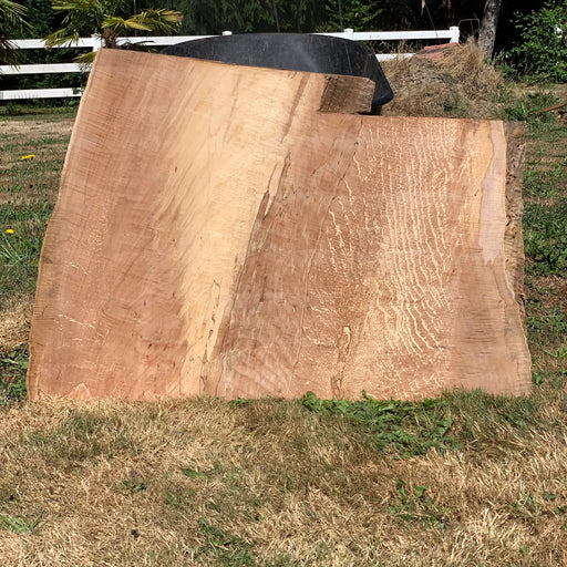 Double Diamond | LiveEdge Big Leaf Maple | Big Leaf Maple | Hamilton Lee Supply