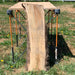 Hamilton Lee Supply | LiveEdge Washington Apple | Craft Wood & Shapes | Hamilton Lee Supply