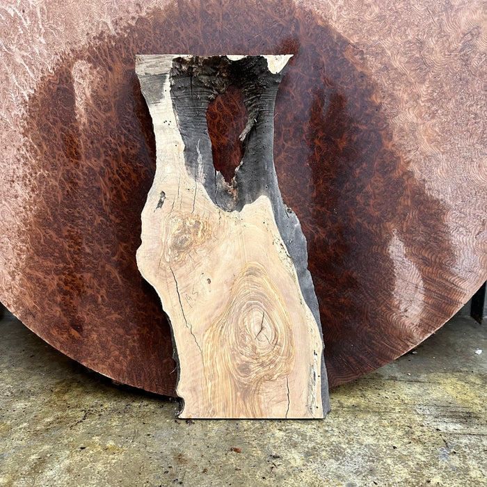 LiveEdge Olive