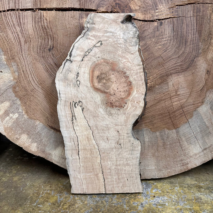 Double Diamond | LiveEdge Big Leaf Maple | Big Leaf Maple | Hamilton Lee Supply
