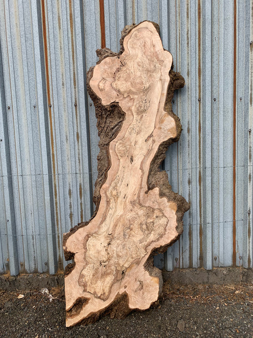 Double Diamond | LiveEdge Big Leaf Maple | Big Leaf Maple | Hamilton Lee Supply