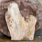 LiveEdge Silver Maple | Silver Maple | Hamilton Lee Supply