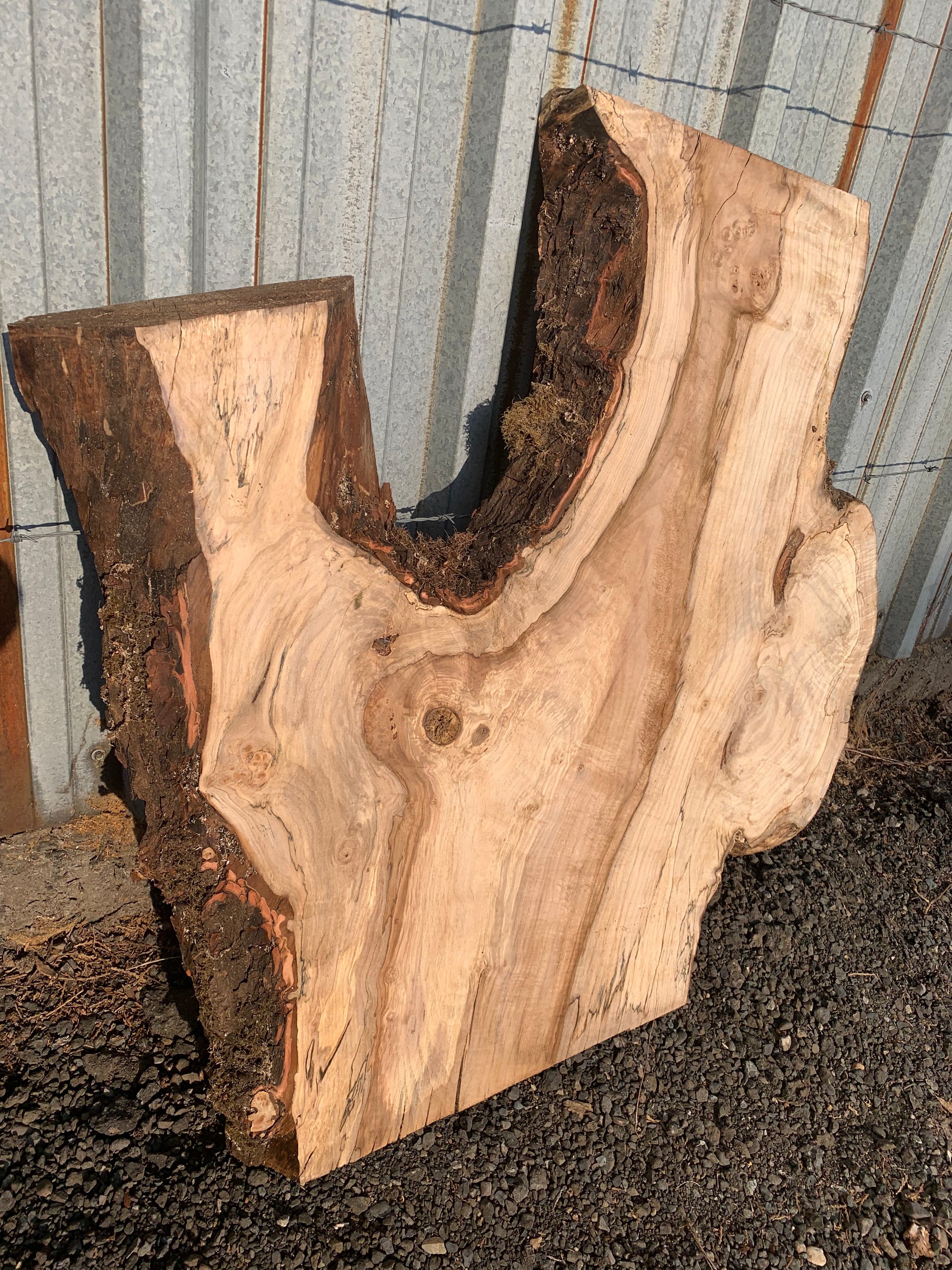 LiveEdge Silver Maple Slab | Silver Maple | Hamilton Lee Supply