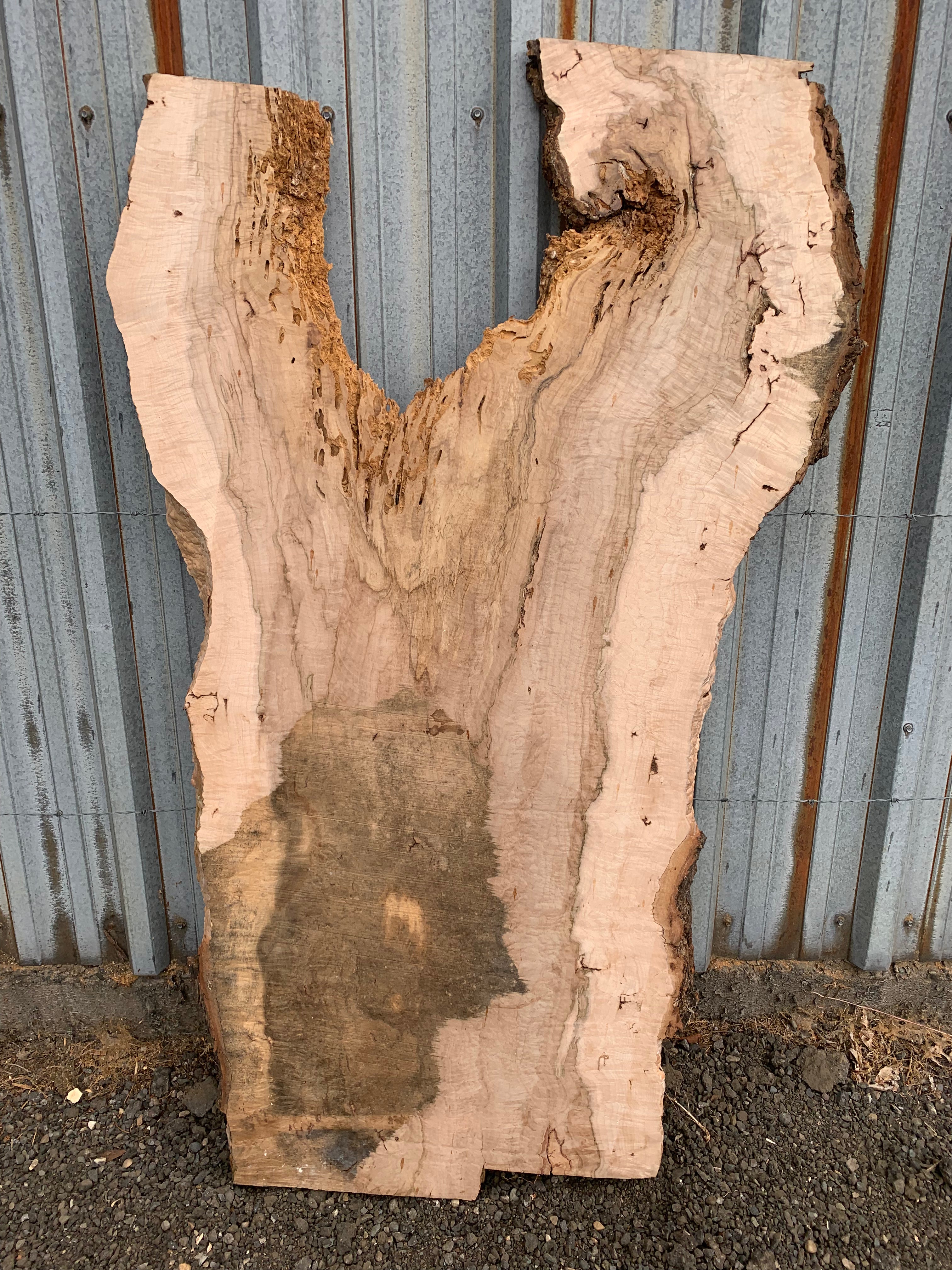 LiveEdge Norway Maple | Norway Maple | Hamilton Lee Supply