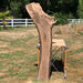Double Diamond | LiveEdge Black Walnut/English Walnut Grafted | Black Walnut/English Walnut Grafted | Hamilton Lee Supply