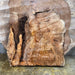 Double Diamond | LiveEdge Big Leaf Maple | Big Leaf Maple | Hamilton Lee Supply