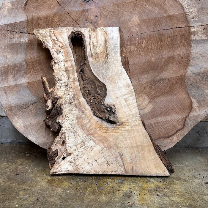 Double Diamond | LiveEdge Big Leaf Maple | Big Leaf Maple | Hamilton Lee Supply