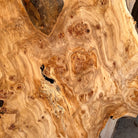 LiveEdge Silver Poplar | | Hamilton Lee Supply