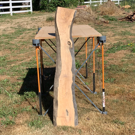 Hamilton Lee Supply - LiveEdge Olive - Hamilton Lee Supply